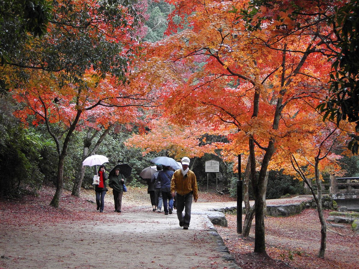 広島の季節の風景