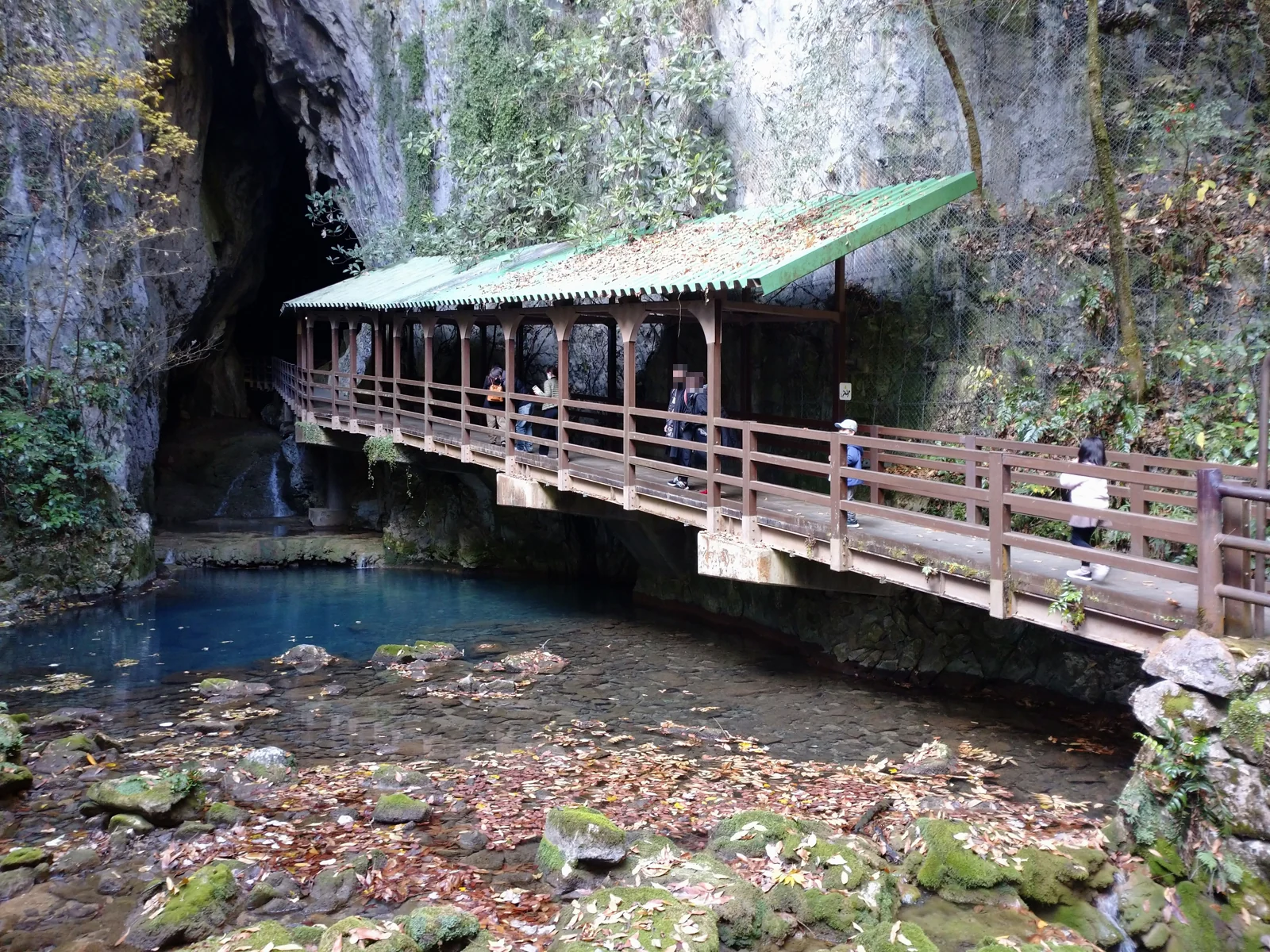 山口県で管理者が撮影した旅の風景