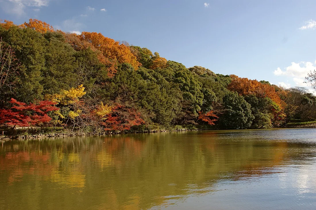 兵庫県立明石公園の風景