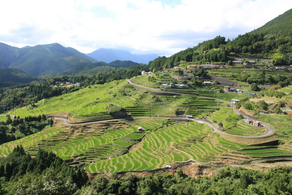 丸山千枚田の風景