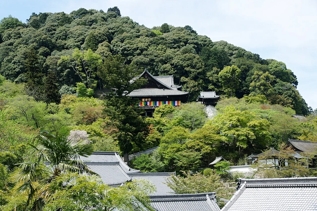 長谷寺の風景