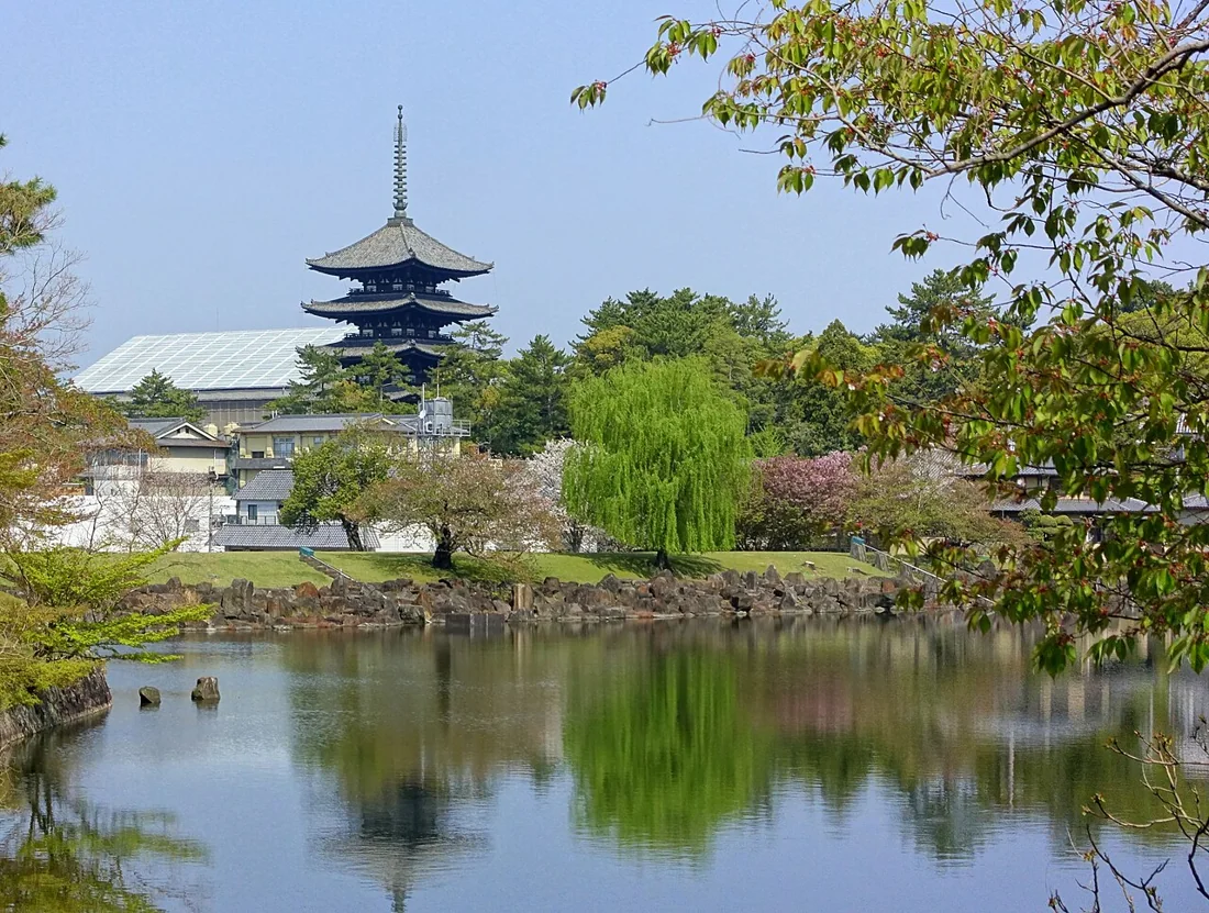 奈良公園の風景