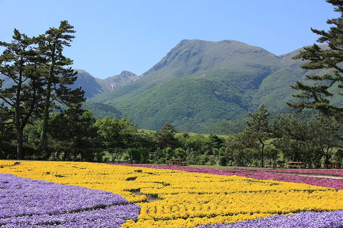 くじゅう花公園の風景
