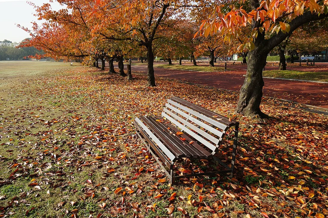 万博記念公園の風景