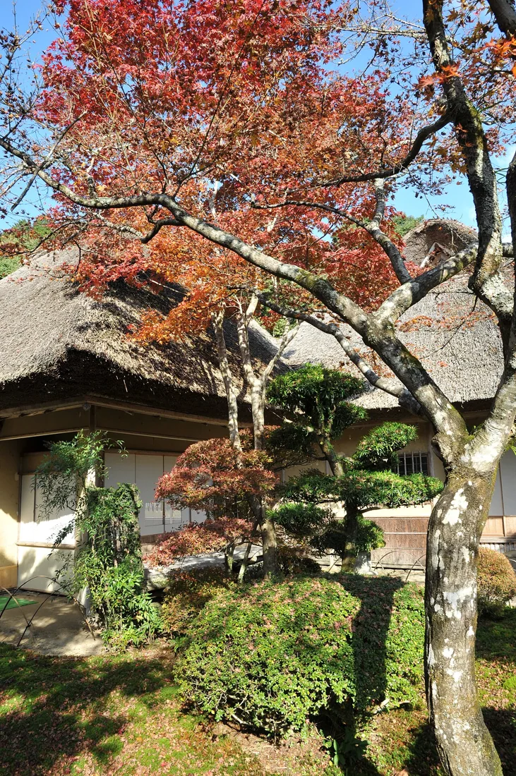 九年庵の風景