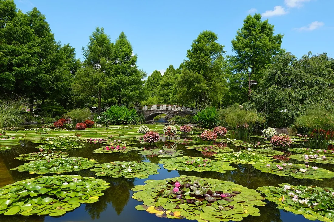 草津市立水生植物公園みずの森の風景