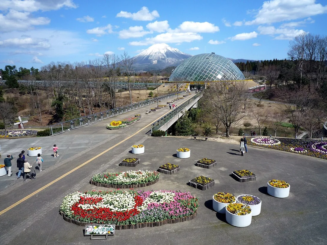 とっとり花回廊の風景